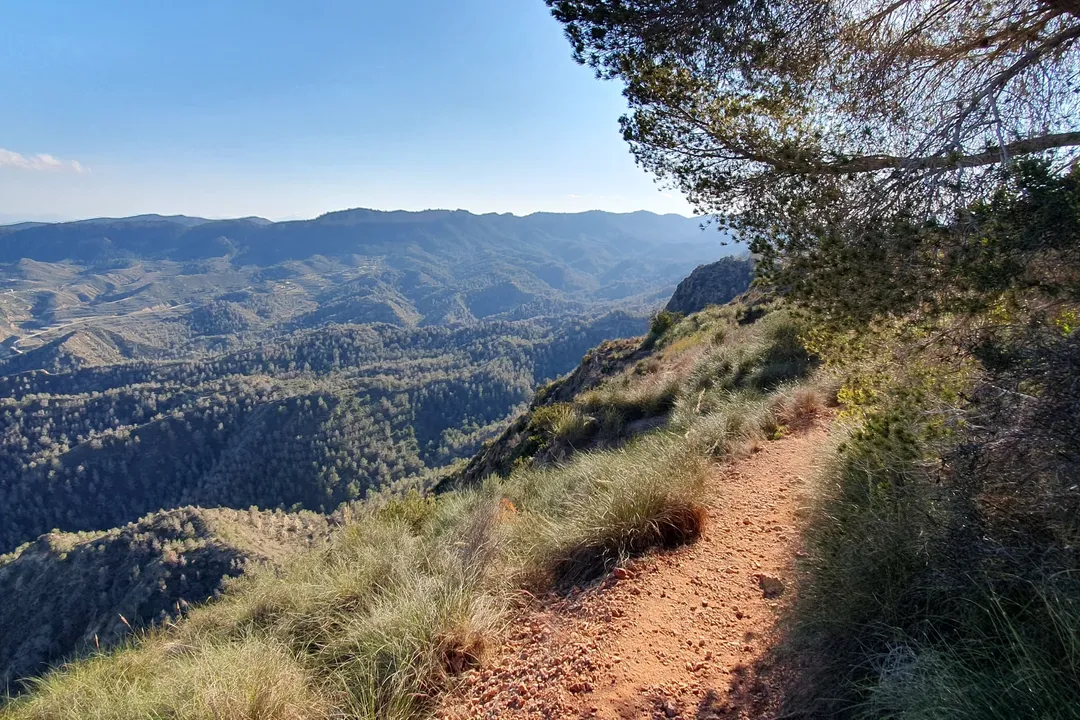 Mountain viewpoint and pine forest landscape near Cresta del Gallo, Murcia