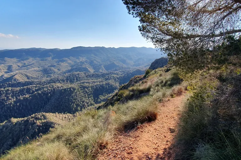 Mountain and pine forest scenery near Cresta del Gallo in Murcia