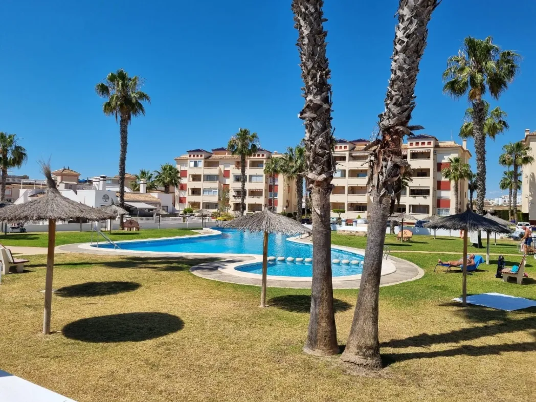 Communal pool and palm-lined garden at the Jumilla II complex
